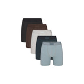 SKIMS COTTON MENS 5" BOXER BRIEF 5-PACK | VERDANT SKY MULTI