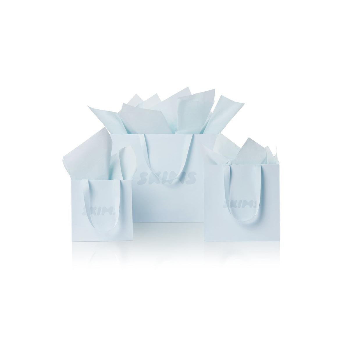 GIFT BAG | BABY BLUE