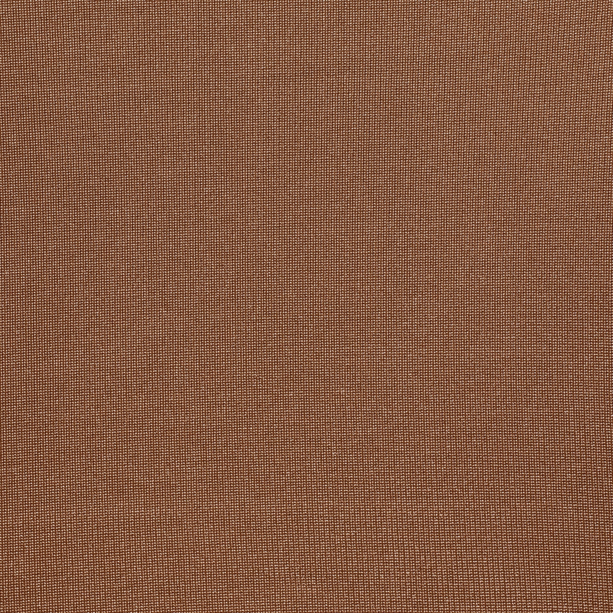 SKIMS BODY CORE SCULPT WAIST CINCHER | SIENNA
