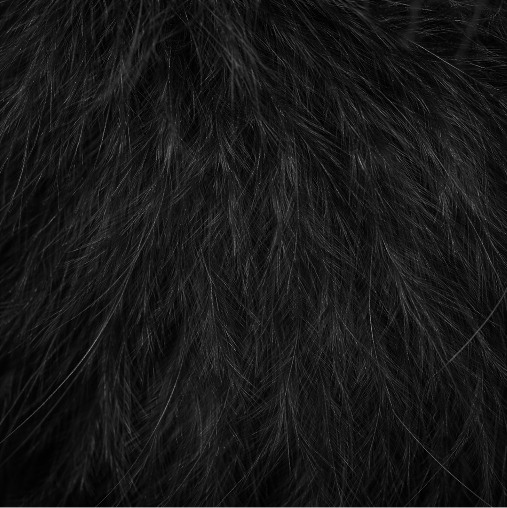 FEATHER KITTEN HEEL | ONYX