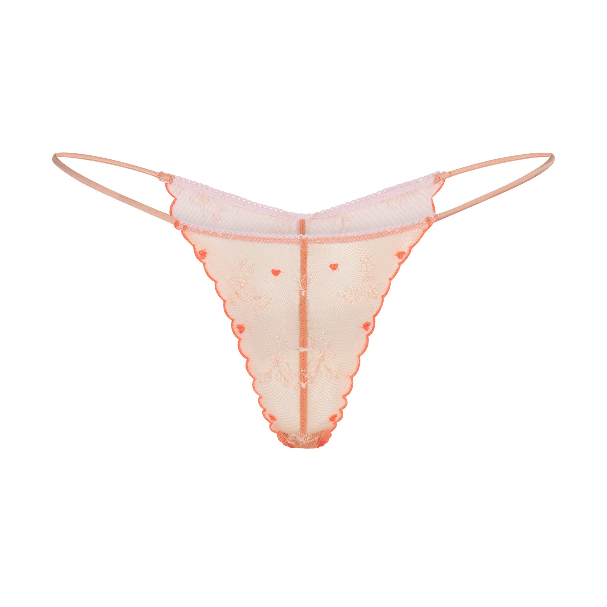 EMBROIDERED TULLE MINI SLIP DRESS AND TANGA SET | GUAVA HEART TULLE
