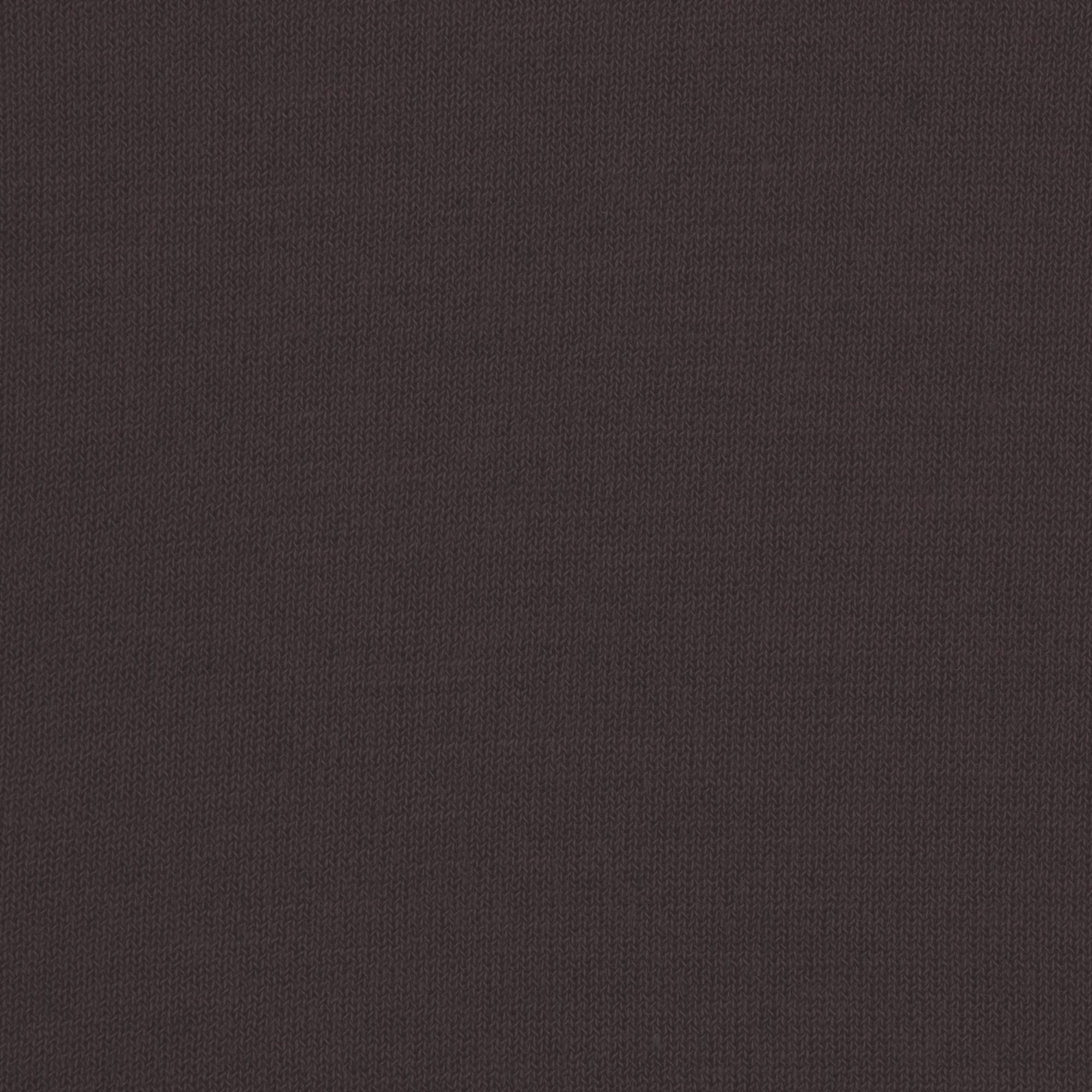 SHEER MODAL LONG SLEEVE BOATNECK TOP | PHOENIX